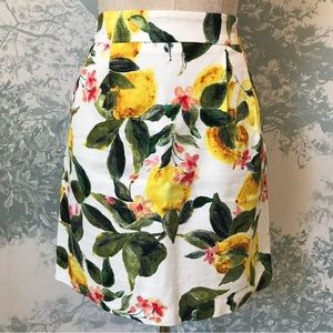 Orsay Lemon Print knee Length Skirt (M)